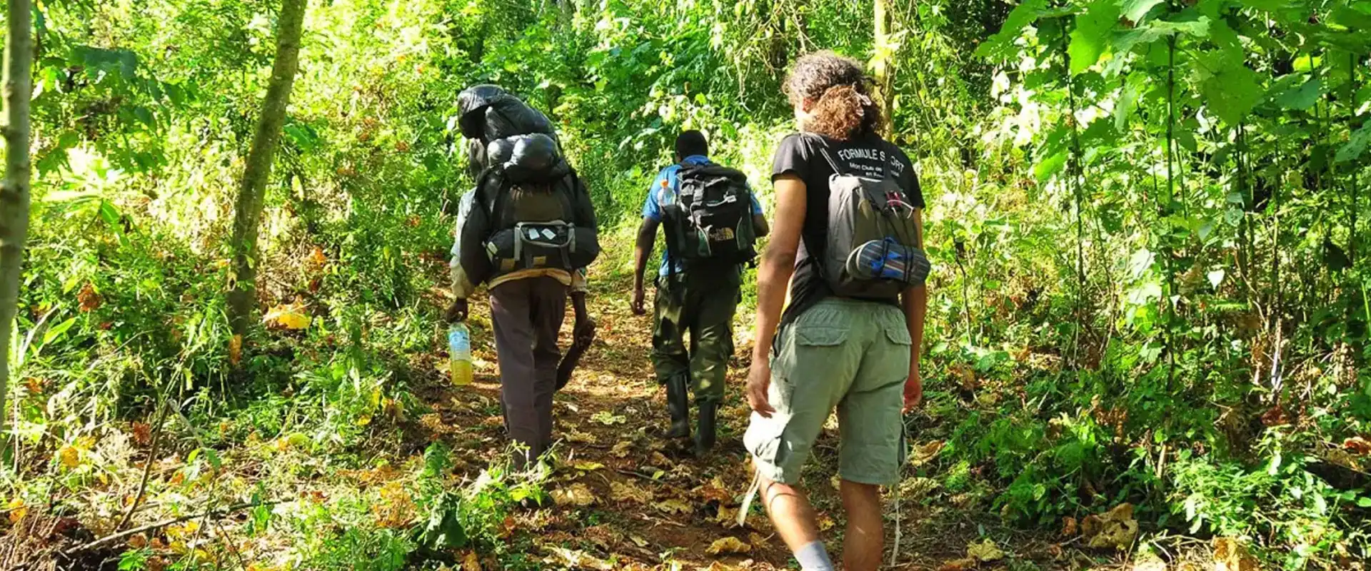 Bugoma Forest Reserve, Bunyoro's Chimpanzee Sanctuary